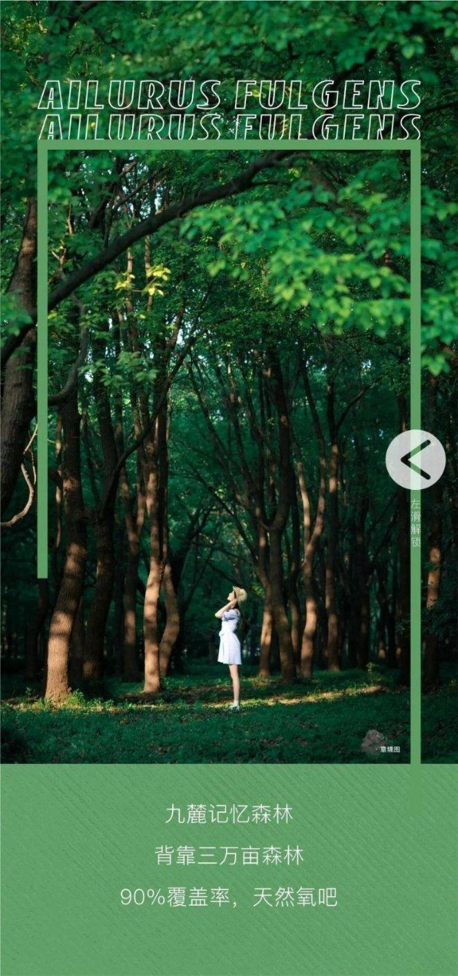 玄凤鹦鹉在黑暗的地方能看到吗?-全球知识分享平台